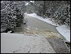 IMG_7551.JPG