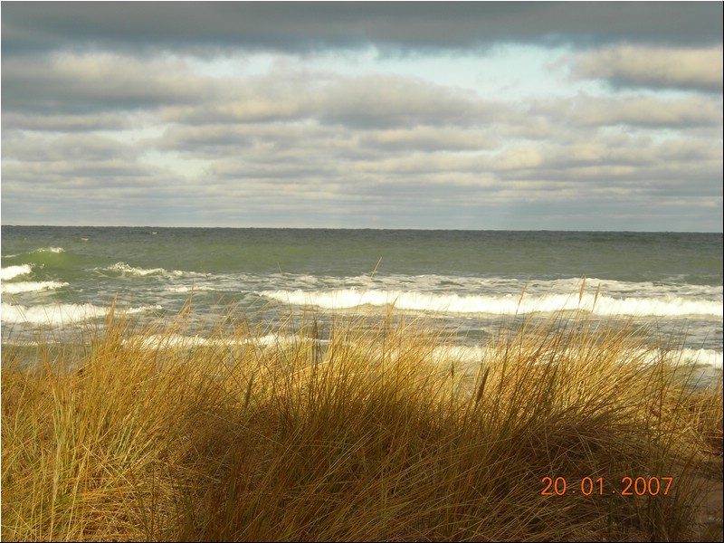 086-vaade_Etsena_otsalt.JPG