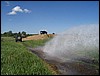 IMG_5851.JPG