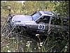 IMGP3927.JPG