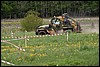 IMG_6923.JPG