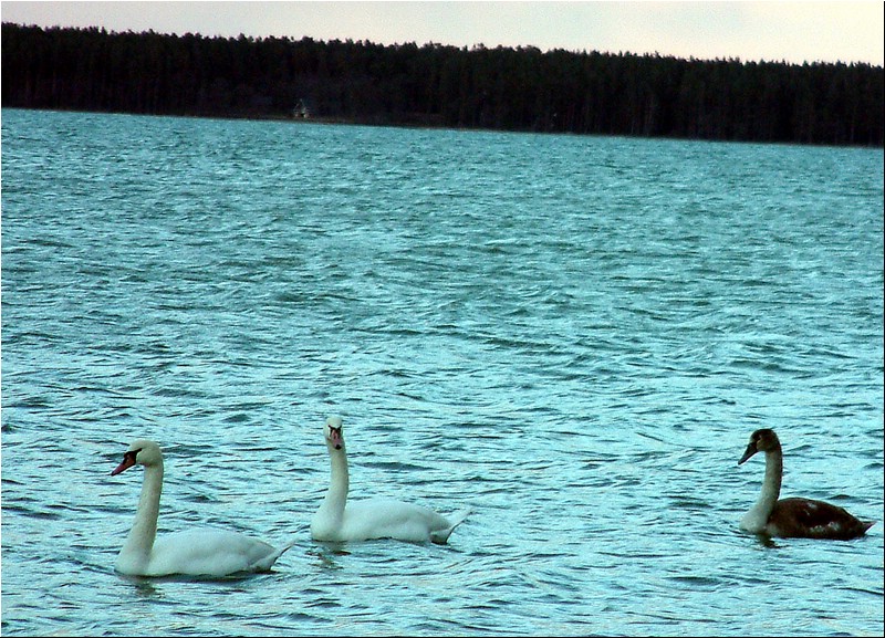 DSCF0059_edited.JPG