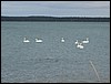 Talveretk 2008 111.jpg