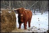 DSC_4861.JPG