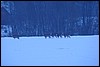 DSC01874.JPG