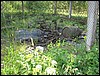 IMG_2197.JPG