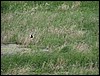 IMG_1338.JPG