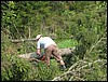 IMG_2715.JPG