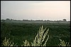IMG_0125.JPG