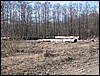 IMG_0070.JPG
