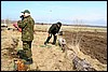 IMG_0007.JPG