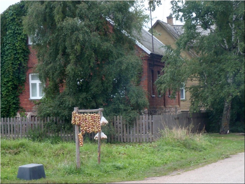 LRK suvertk 2011 - 09.jpg