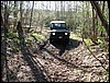 IMG_5260.JPG