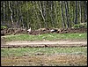 IMG_5171.JPG