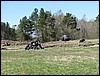 IMG_5173.JPG