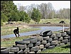 IMG_5179.JPG