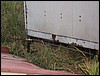 PA070225.JPG
