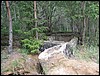 IMG_5783.JPG