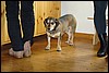 DSC03882.JPG