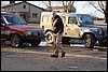 DSC03915.JPG