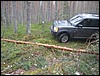 IMG_7334.JPG