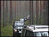 IMG_7340.JPG
