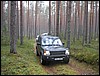 IMG_7343.JPG