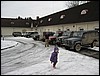 IMG_7368.JPG