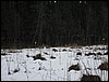 IMG_7396.JPG