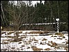 IMG_7464.JPG
