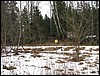 IMG_7465.JPG