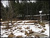 IMG_7466.JPG