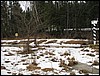 IMG_7467.JPG