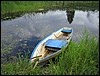 IMG_0333.JPG