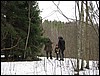 IMG_1563.JPG