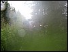 IMG_4433.JPG