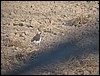 IMG_4305.JPG