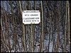 IMG_2338.JPG