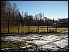 DSCN5740.JPG