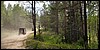 20180728_135835.jpg
