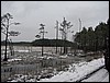 IMG_9573.JPG