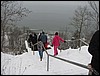 IMG_9884.JPG