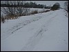 IMG_9919.JPG