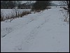 IMG_9920.JPG