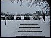 IMG_9944.JPG