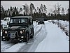 IMG_6528.JPG