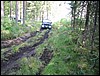 IMG_8803.JPG