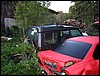 IMG_7913.JPG