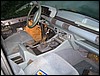 IMG_7921.JPG