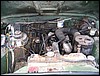 IMG_7952.JPG
